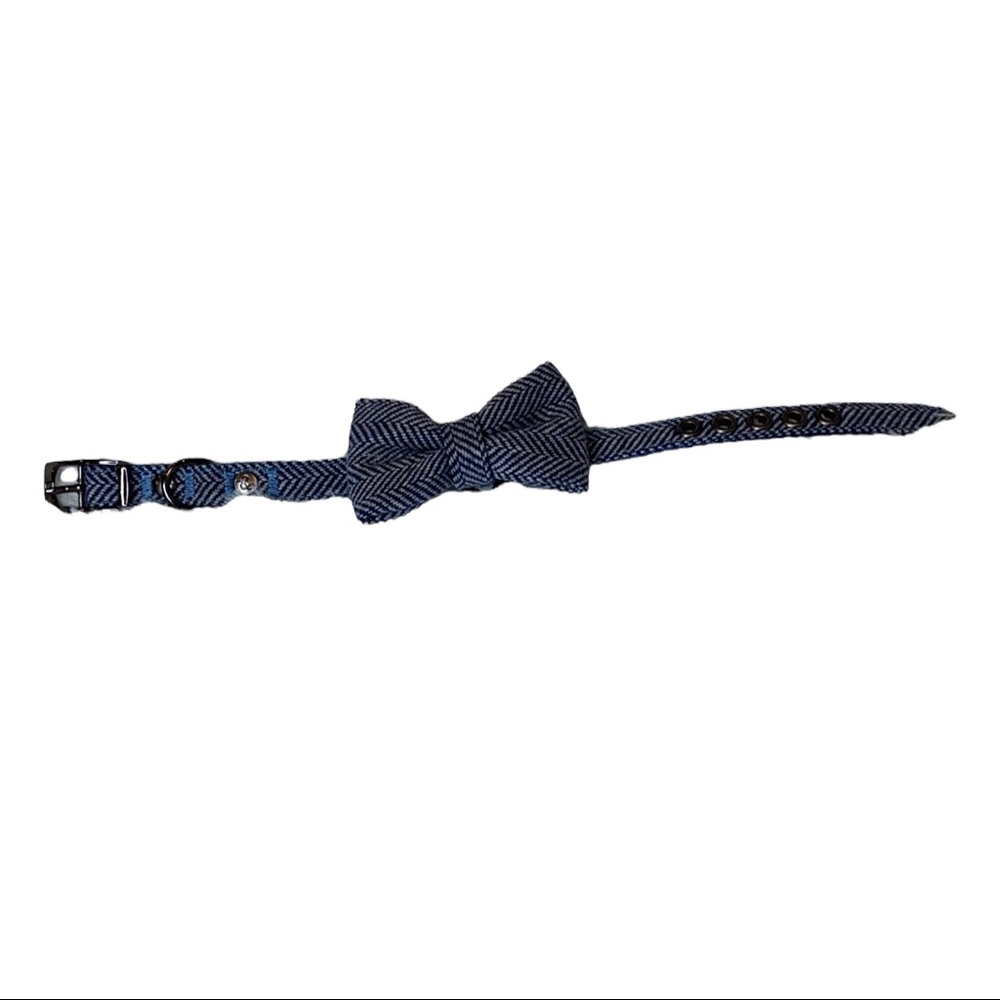 Collar With Detachable Bow